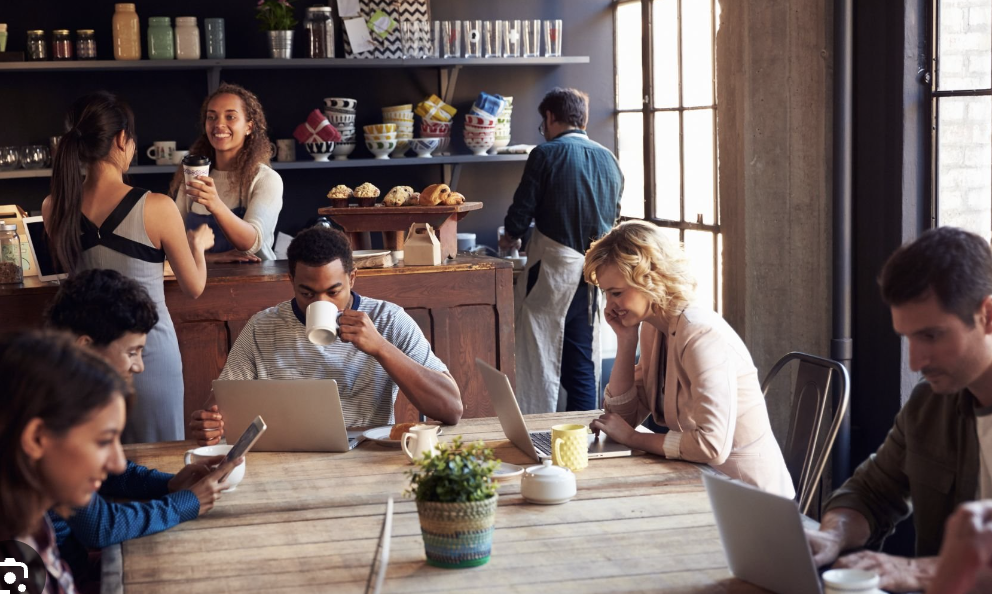 Burrow- remote work cafe and bookstore, and venue